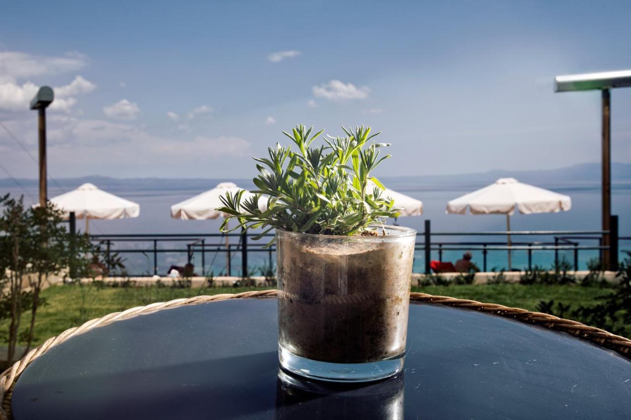 Rigas Boutique Hotel & Spa Afytos Dış mekan fotoğraf